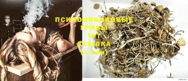 первитин Белокуриха
