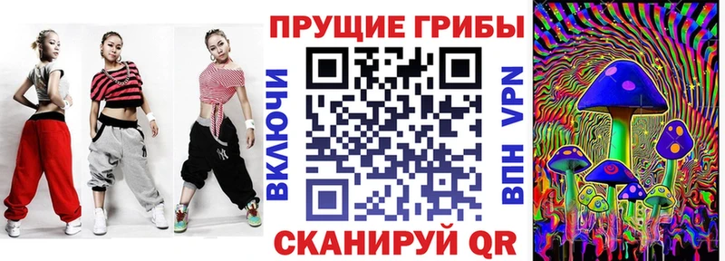 кракен как войти  купить наркоту  Плёс  Галлюциногенные грибы Magic Shrooms 